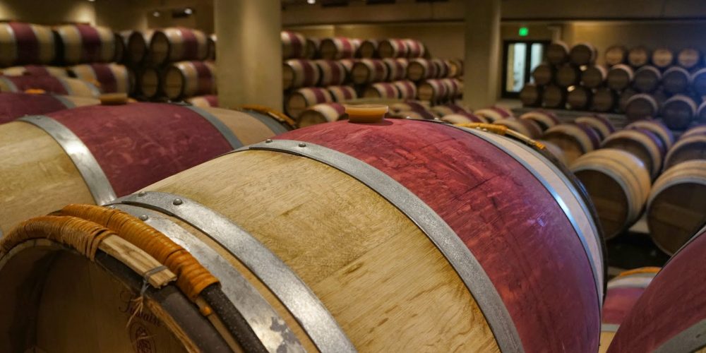 To spit or not to spit …that is the question