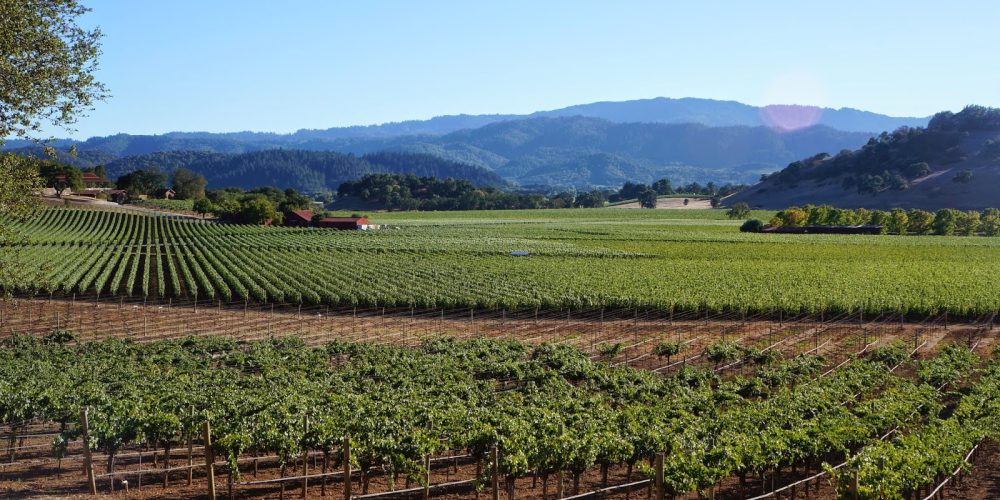 America’s wine country